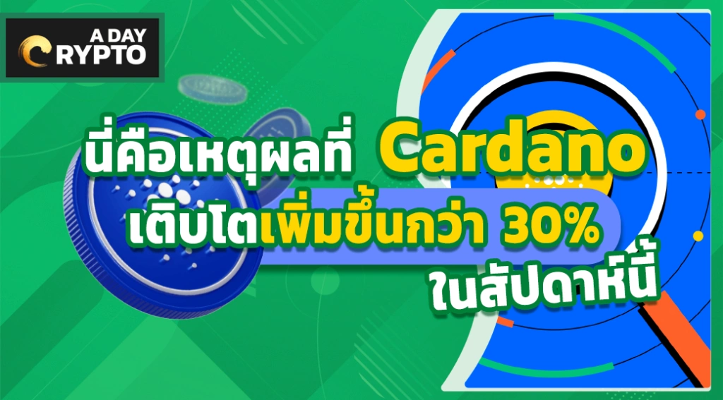 Cardano เติบโตเพิ่มขึ้นกว่า 30%