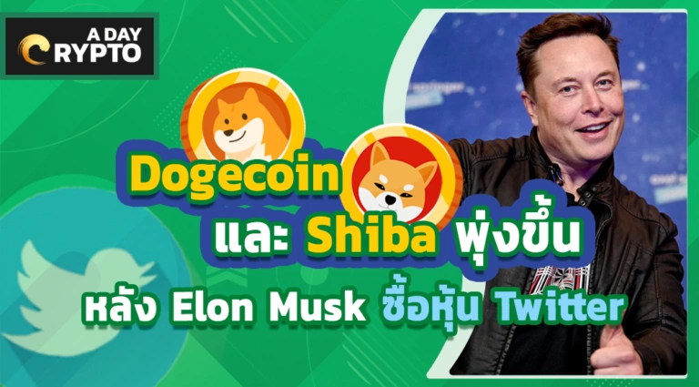 Dogecoin และ Shiba พุ่งขึ้นหลัง Elon Musk ซื้อหุ้น Twitter