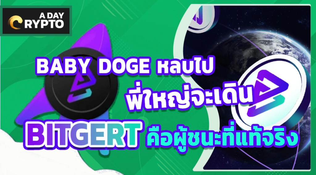 BABY DOGE หลบไปพี่ใหญ่จะเดิน BITGERT คือผู้ชนะที่แท้จริง