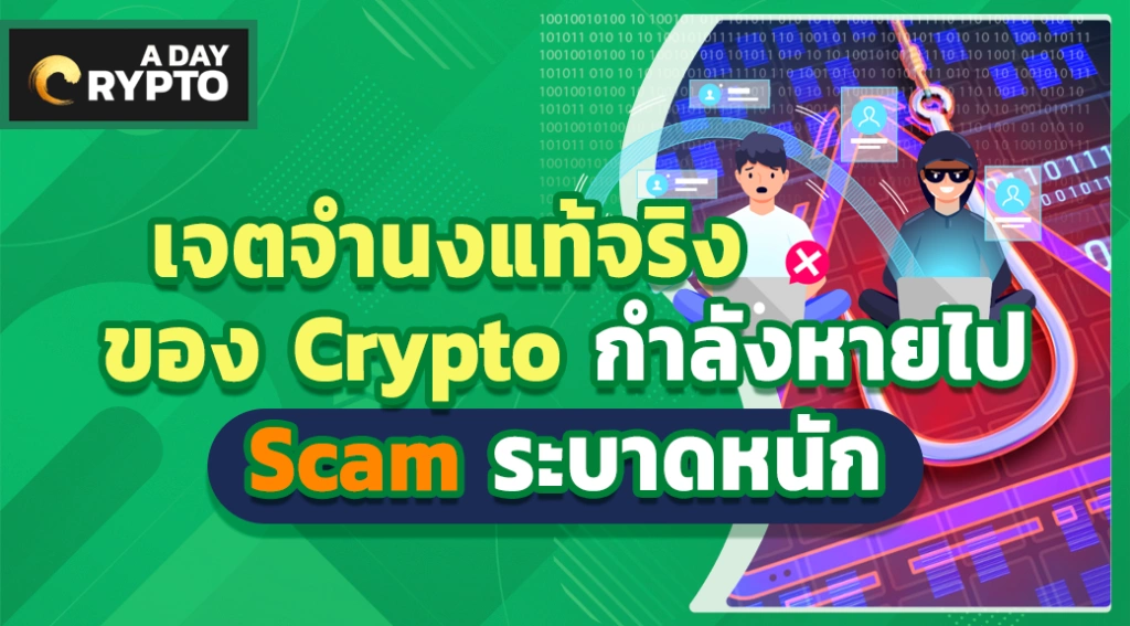 เจตจำนงแท้จริงของ Crypto กำลังหายไป Scam ระบาดหนัก