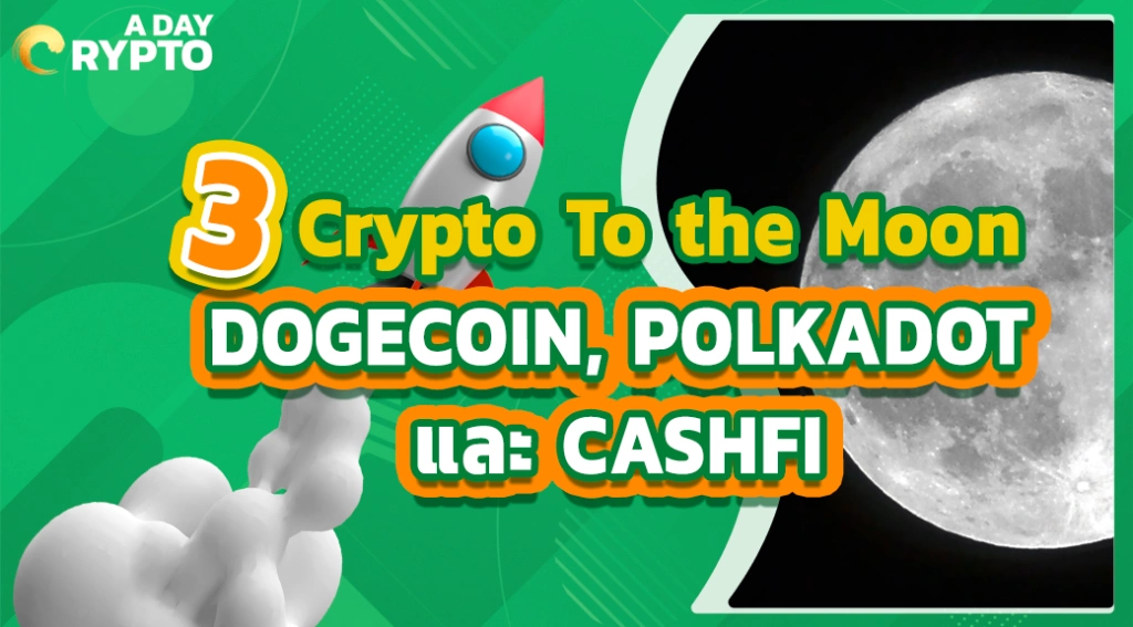 3 Crypto To the Moon DOGECOIN, POLKADOT และ CASHFI