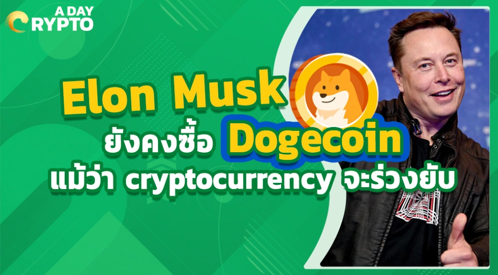 Elon Musk ยังคงซื้อ Dogecoin แม้ว่า cryptocurrency จะร่วงยับ