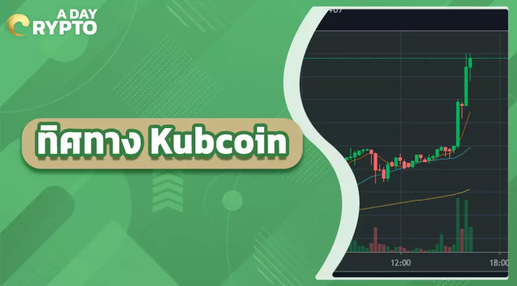 ทิศทาง Kubcoin