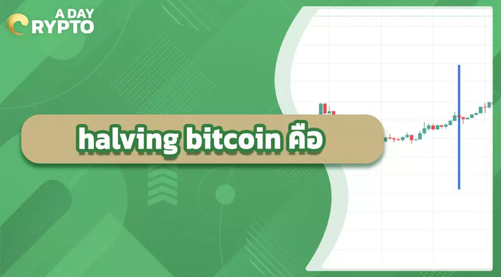 halving bitcoin คือ